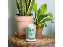 Yankee Candle Signature Duftkerze Aloe &amp; Agave Large Jar