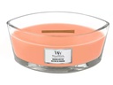 Woodwick Duftkerze Manuka Nectar Ellipse