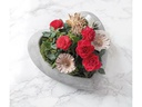 Opiflor Schale Sofia 22 x 8 cm, Grau