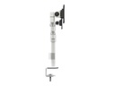 Multibrackets Tischhalterung Officeline Dual bis 8 kg – Weiss