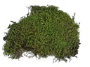 Lucky Reptile Bodensubstrat Vivarium Moss 150 g