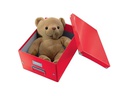 Leitz Archivschachtel WOW Cube L, metallic Rot