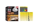 Repti Planet Terrarienlampe Solarlicht mit UVA &amp; UVB 80 W