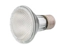 Repti Planet Terrarienlampe Halogen Spot 35 W