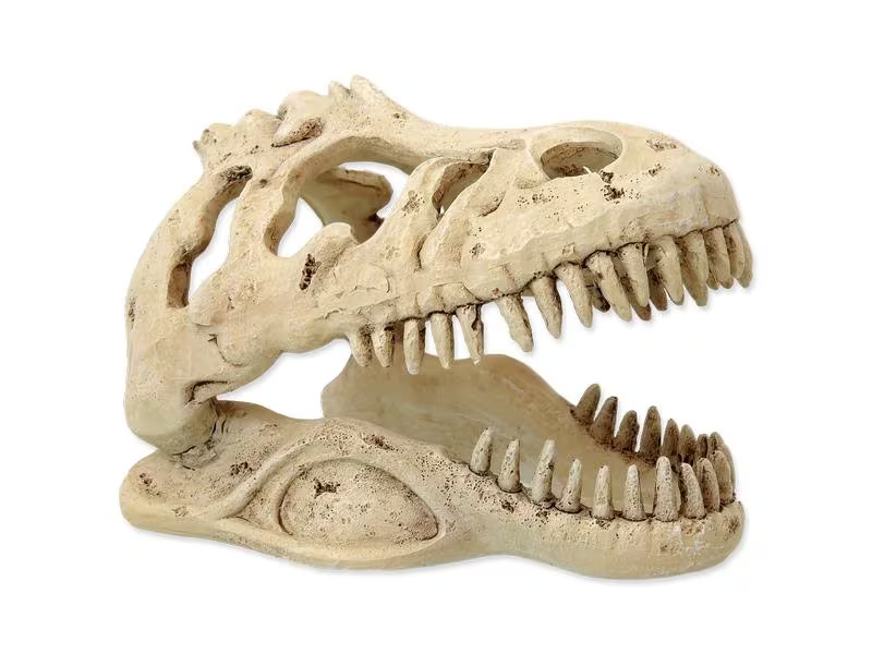 Repti Planet Dekoschädel T-Rex
