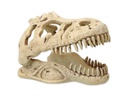 Repti Planet Dekoschädel T-Rex