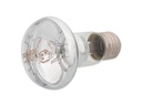 Repti Planet Daylight Basking Spot 75 W