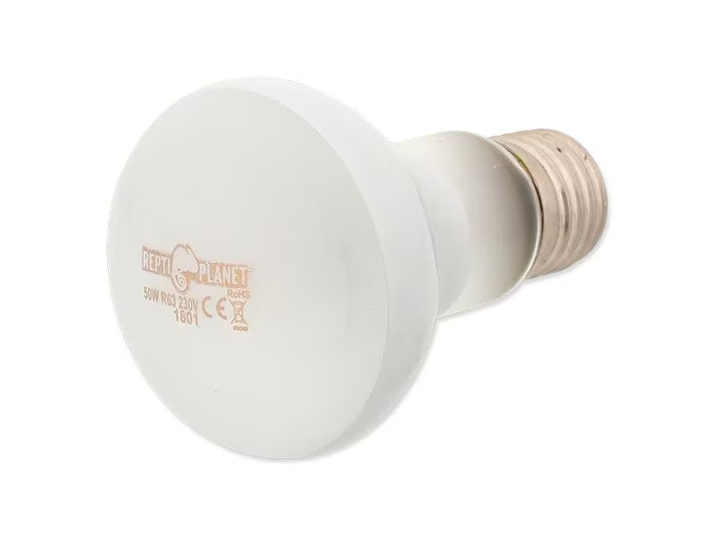 Repti Planet Terrarienlampe Daylight Frosted 50 W