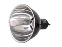 Repti Planet Reflektorlampe Dome Lamp 14 cm, 75 W