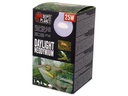 Repti Planet Terrarienlampe Daylight Neodymium 25 W