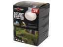 Repti Planet Terrarienlampe Daylight Frosted 75 W