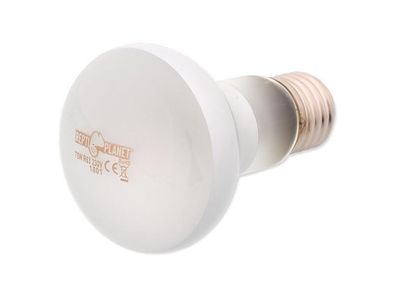 Repti Planet Terrarienlampe Daylight Frosted 75 W