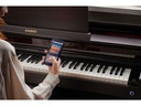 Casio E-Piano CELVIANO AP-550 Braun