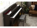 Casio E-Piano CELVIANO AP-550 Braun