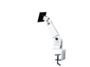 NewStar Tischhalterung FPMA-D400 bis 10 kg – Weiss
