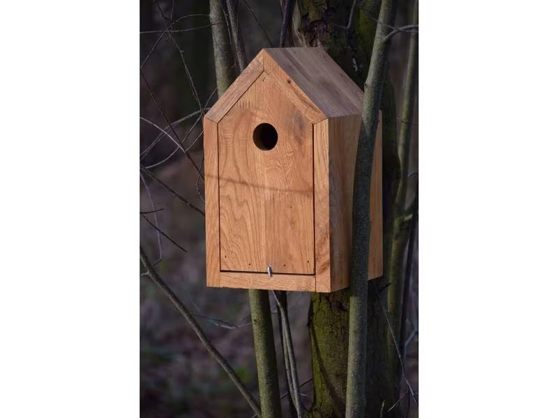dobar green label Nistkasten Design, 16 x 16 x 28.5 cm, Holz, Braun