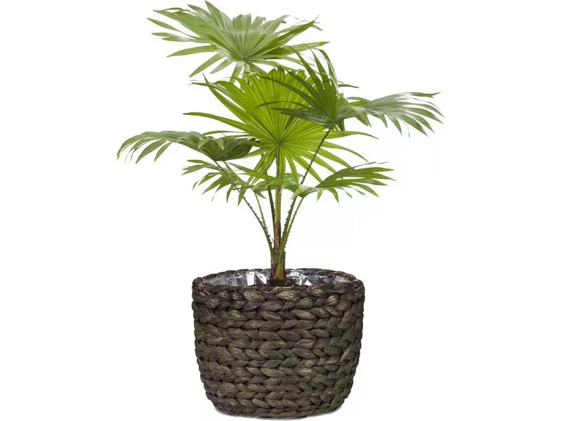 scheurich Pflanzengefäss mit Folie 25 x 22.5 cm,  Braun