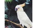 EGLO Leuchten Kissen Mobara 45 x 45 cm, Mehrfarbig
