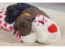 Beeztees Hunde-Spielzeug Hund Suki XL, 48 x 46 x 11 cm