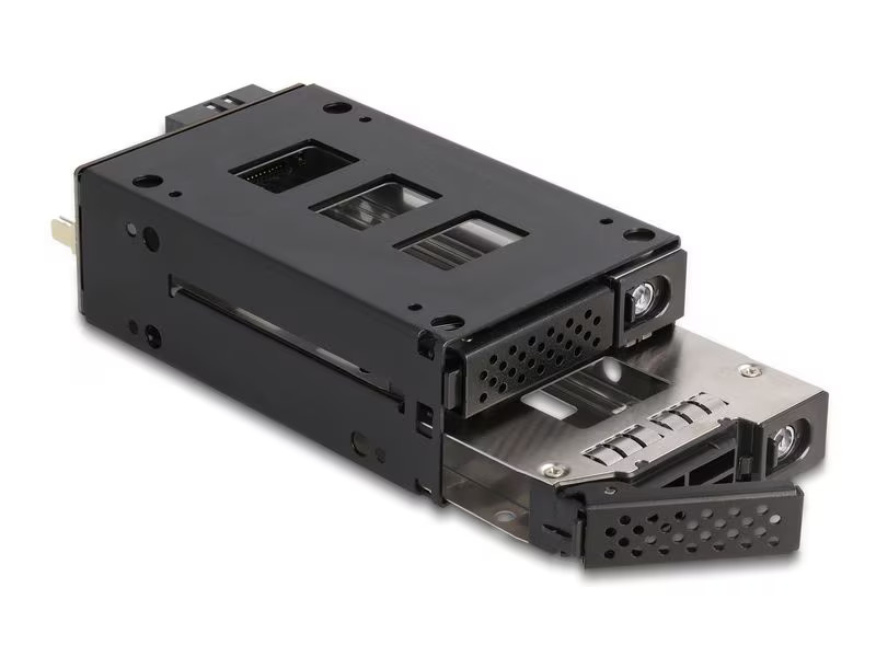 Delock Wechselrahmen U.2 NVMe 2.5