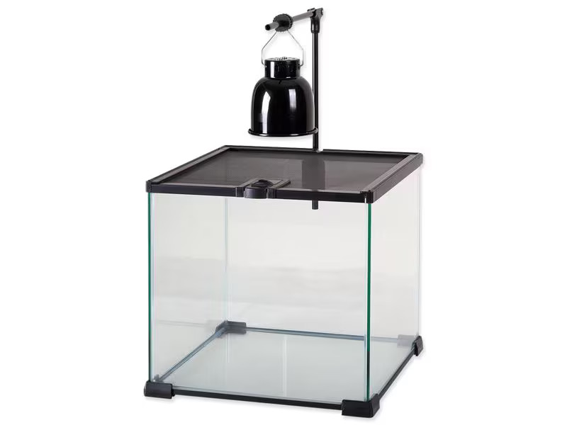 Repti Planet Reflektorlampe Mini Dome 1 x 40 W