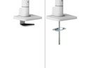 NEOMOUNTS Tischständer DS75S-950 WH2 bis 16 kg – Weiss