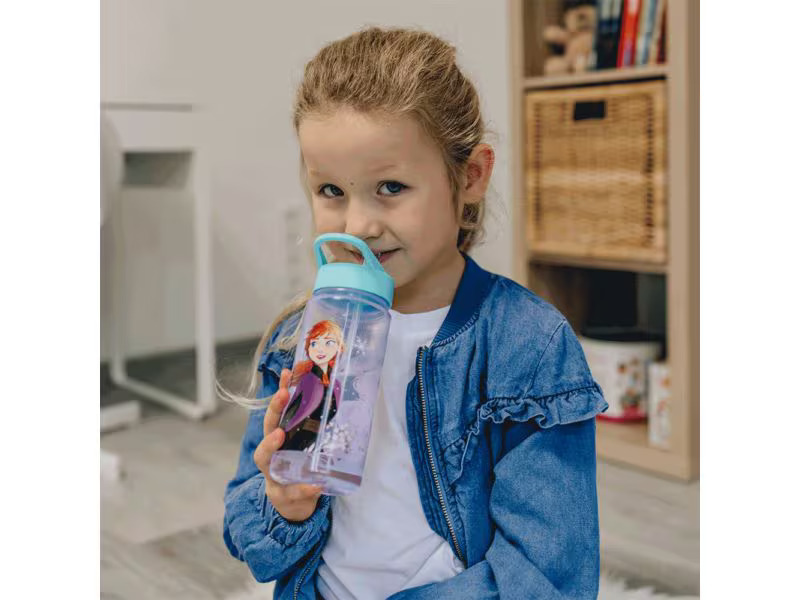 Scooli Trinkflasche Disney Frozen 500 ml, Blau/Lila