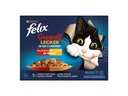 Felix Nassfutter Sensations Fleisch in Sauce, 12 x 85 g