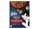 Felix Nassfutter Sensations Fleisch in Sauce, 12 x 85 g