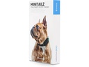 Invoxia GPS- und Gesundheitstracker Dog MiniTailz, schwarz