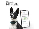 Invoxia GPS- und Gesundheitstracker Dog MiniTailz, schwarz