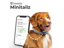 Invoxia GPS- und Gesundheitstracker Dog MiniTailz, schwarz