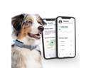 Invoxia GPS- und Gesundheitstracker Dog MiniTailz, schwarz