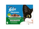 Felix Nassfutter Fleisch &amp; Geflügel in Sauce, 12 x 85g