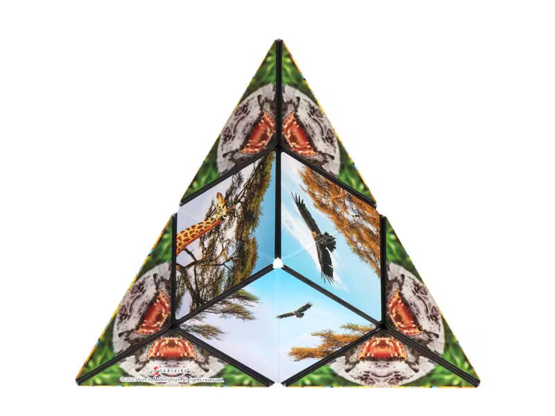 Shashibo Shashibo Cube Savanna