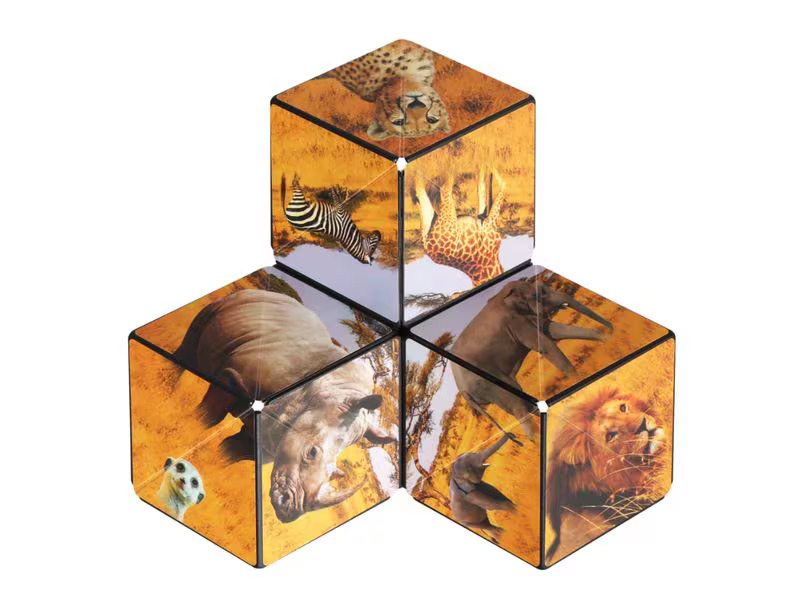 Shashibo Shashibo Cube Savanna