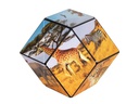 Shashibo Shashibo Cube Savanna