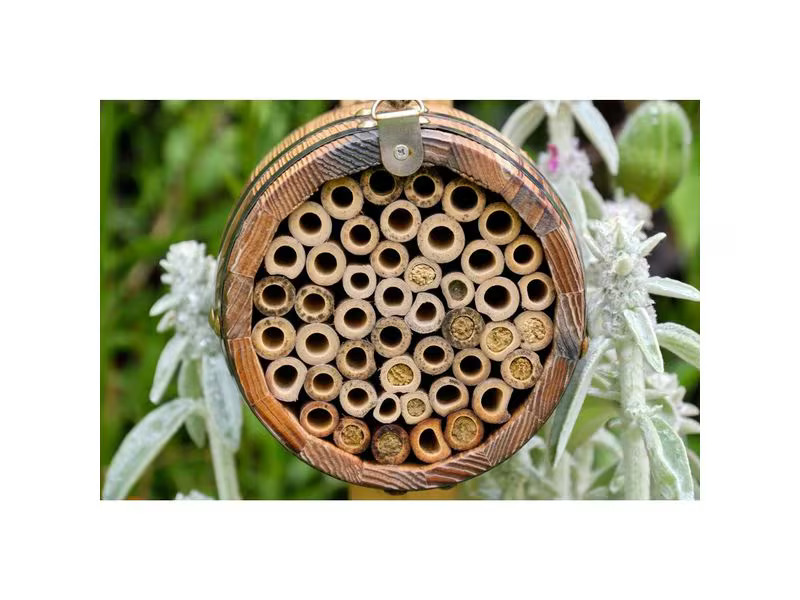 Wildlife World Wildbienenhotel Bienenfass 13 x 13 x 18 cm