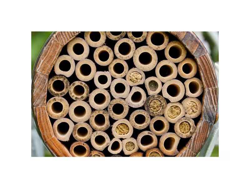 Wildlife World Wildbienenhotel Bienenfass 13 x 13 x 18 cm