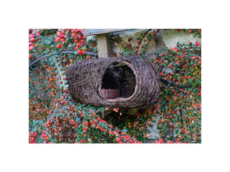 Wildlife World Nistkasten Rotkehlchen