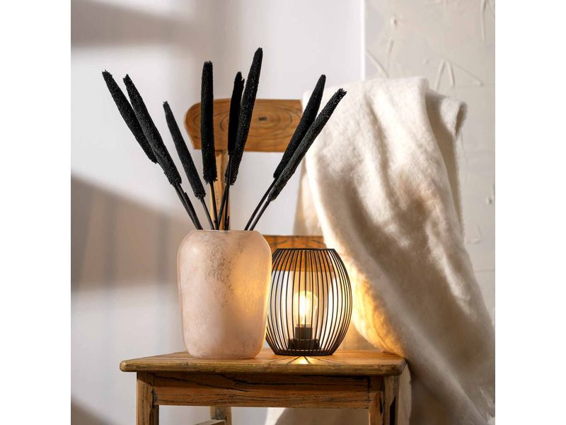 Leonardo Vase Trogolo 22 cm, Beige