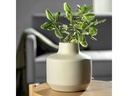 Leonardo Vase Milano 22 cm, Crème
