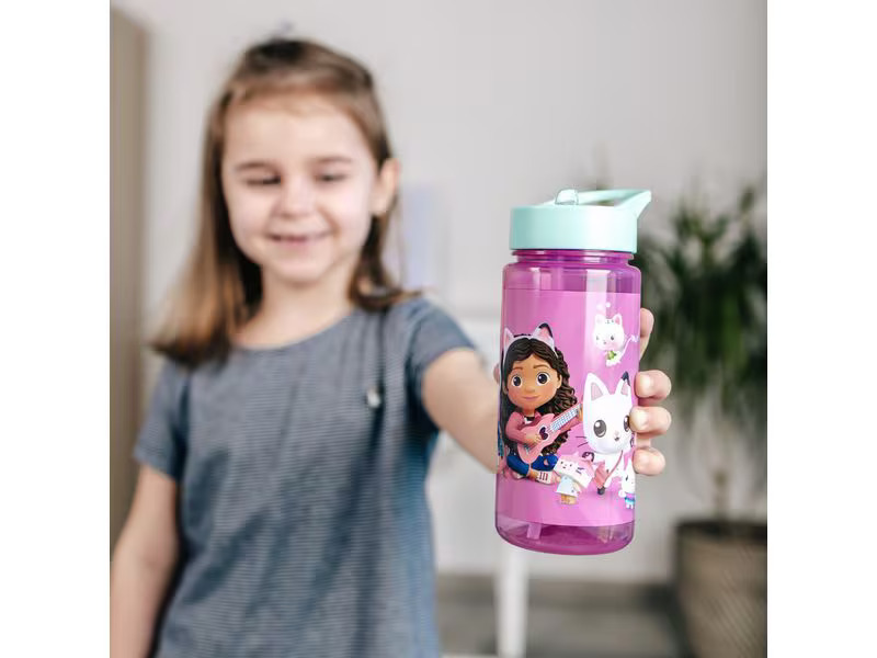 Scooli Trinkflasche Gabby's Dollhouse 500 ml, Blau/Rosa
