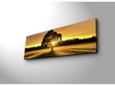 Wallxpert Bild Tree 30 x 90 cm, Holz