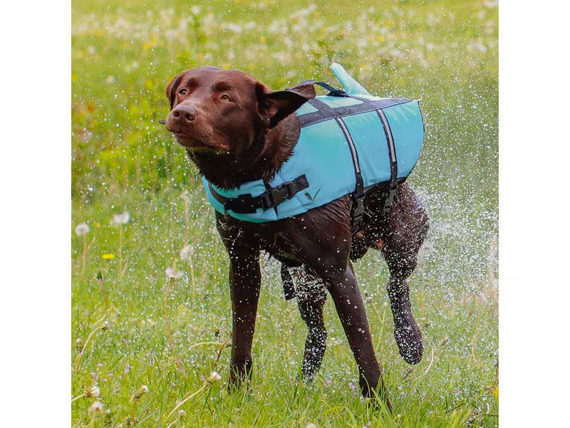 Nobby Schwimmweste Sharki XL, 45 cm, Blau