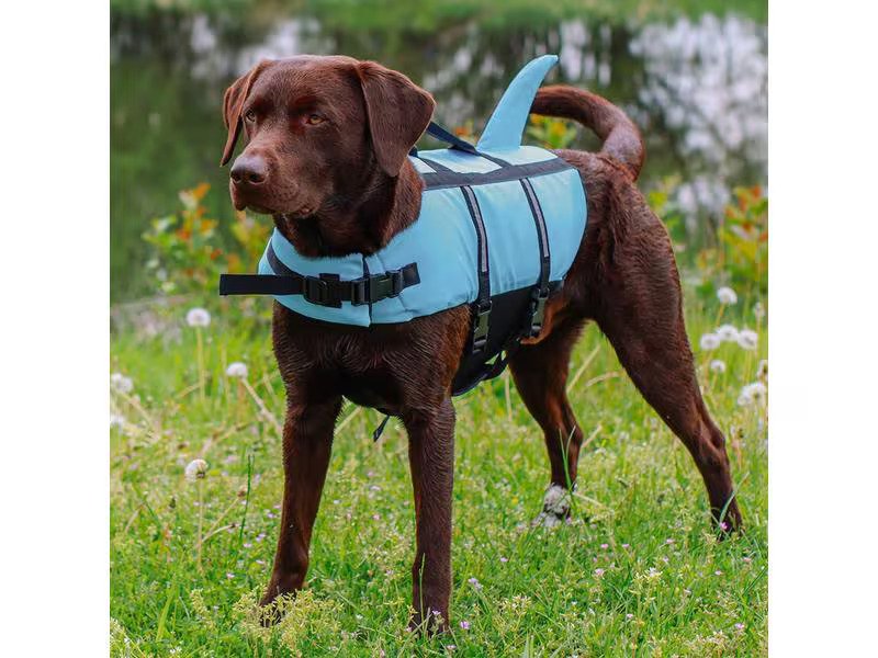 Nobby Schwimmweste Sharki M, 35 cm, Blau