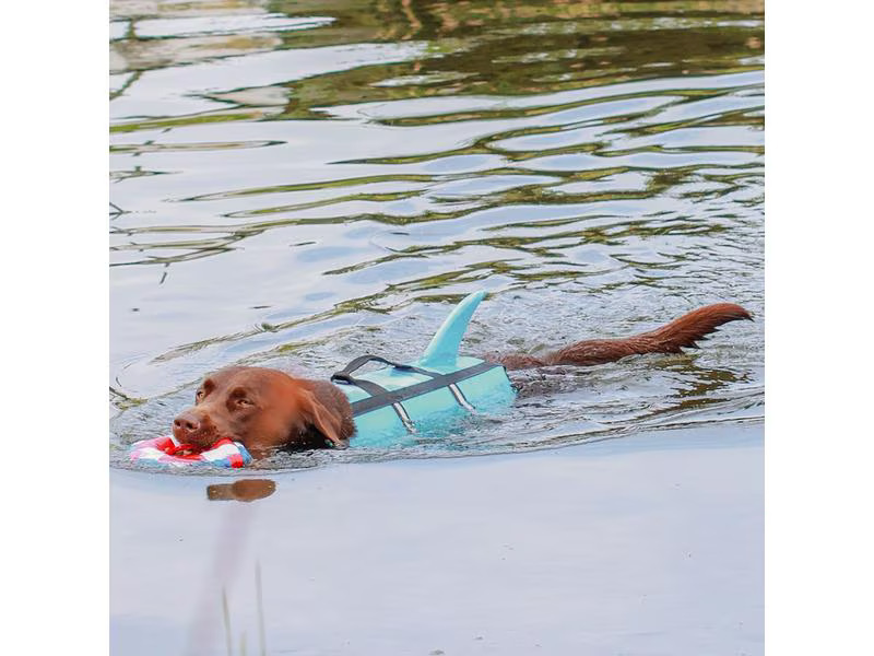 Nobby Schwimmweste Sharki M, 35 cm, Blau