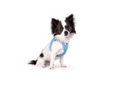 curli Geschirr Vest Air-Mesh 3XS SE24, Airblue