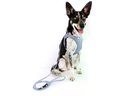 curli Geschirr Vest Air-Mesh 2XS SE24, Elemental-Blue