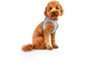 curli Geschirr Vest Air-Mesh 2XS SE24, Elemental-Blue